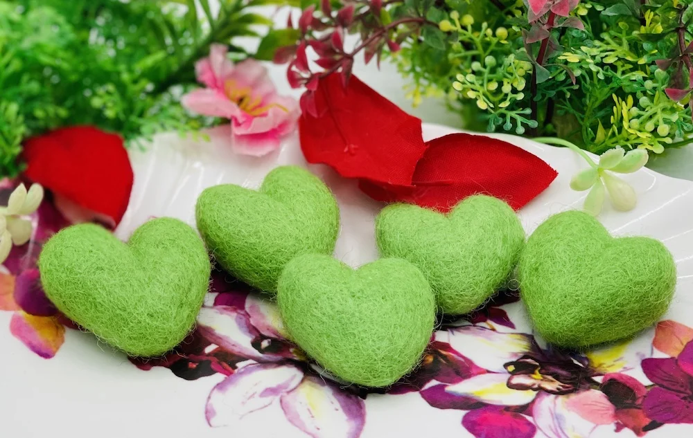 IMG_5804